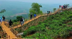 Wisata Bukit Panenjoan