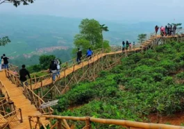 Wisata Bukit Panenjoan